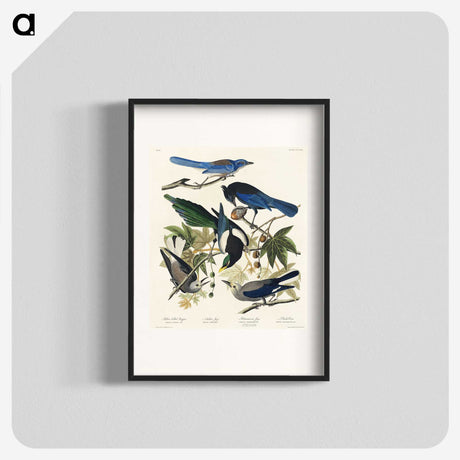 1-88_John-James-Audubon_blk