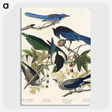 1-88_John-James-Audubon_picture-crop