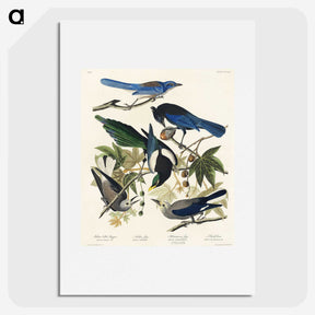 1-88_John-James-Audubon_picture