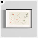 Study sheet with gladiolus and apple blossom - ユリー デ フラーハ Poster.