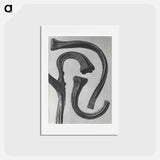 アートポストカード-Cucurbita (stems of a Pumpkin) enlarged 3 times - カール ブロスフェルト Postcard.
