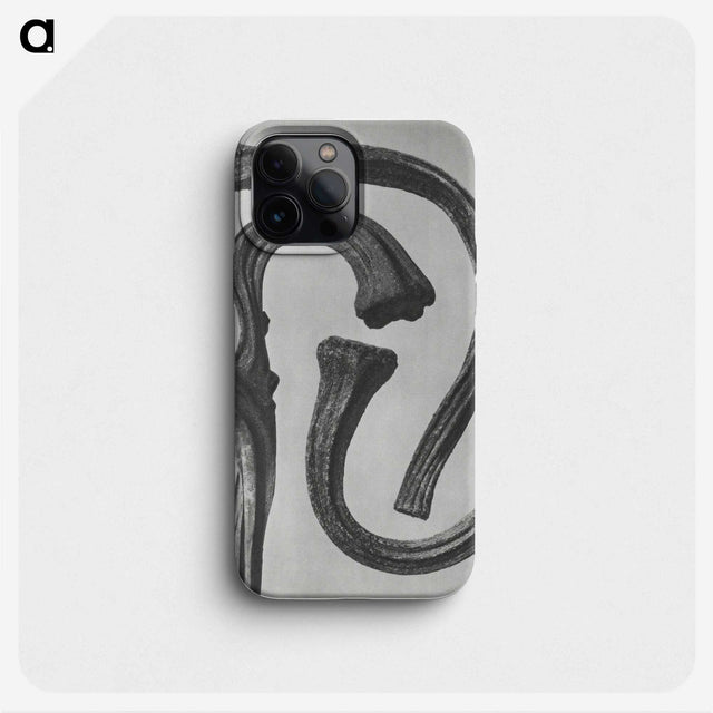 1-88_Karl-Blossfeldt_phone