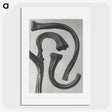 1-88_Karl-Blossfeldt_picture