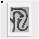 1-88_Karl-Blossfeldt_picture