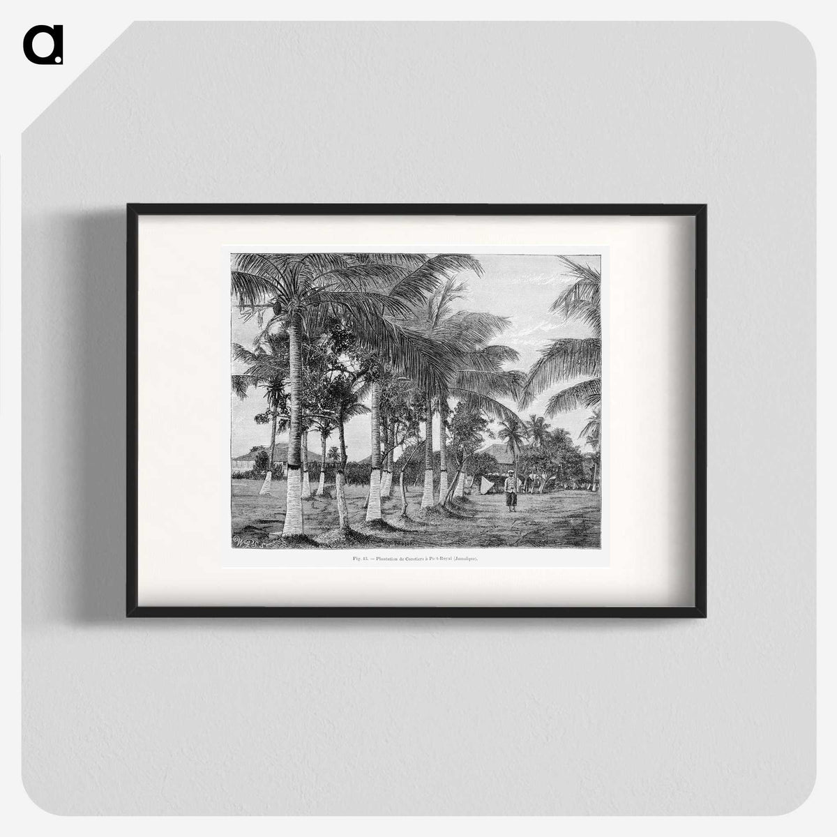 1-88_Les-Palmiers-Histoire-Iconographique_blk
