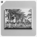 1-88_Les-Palmiers-Histoire-Iconographique_canvas