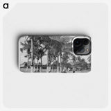 1-88_Les-Palmiers-Histoire-Iconographique_phone