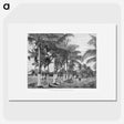 1-88_Les-Palmiers-Histoire-Iconographique_picture