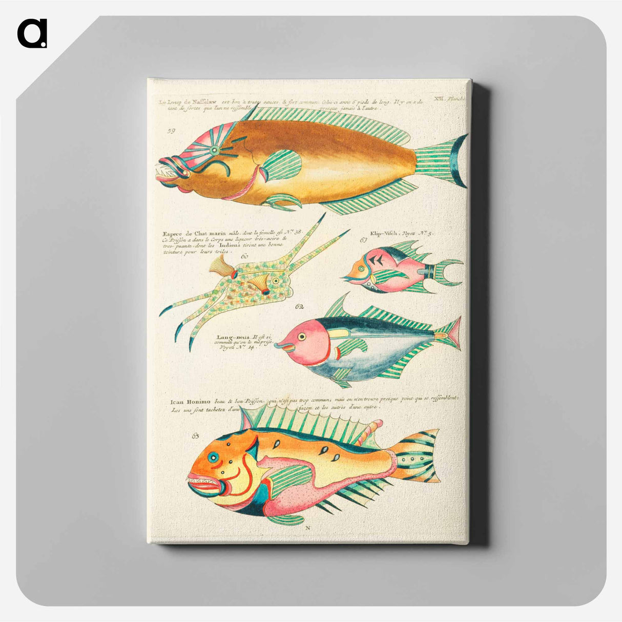 アートパネル-Moluccan Fishes
 - ルイ ルナール Canvas.