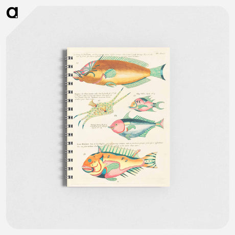 アートメモ帳-Moluccan Fishes
 - ルイ ルナール Memo.