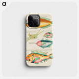 Moluccan Fishes
 - ルイ ルナール Phone Case.
