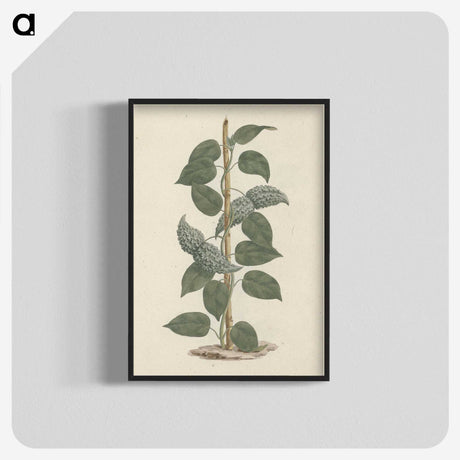 1-88_Luigi-Balugani_blk-crop