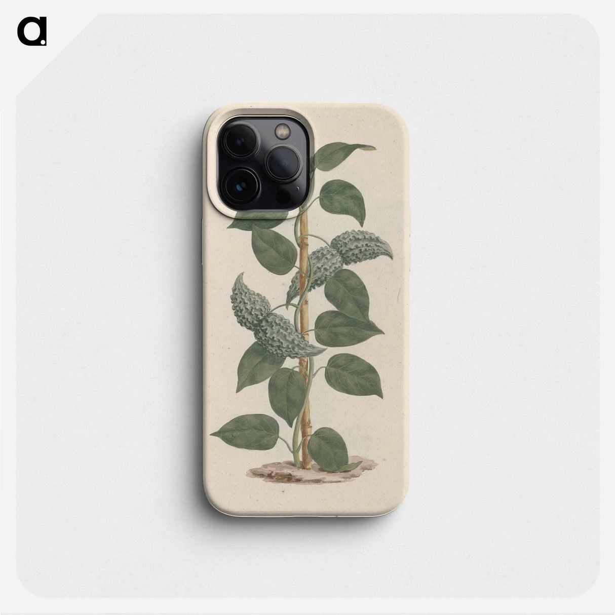 Dregea abyssinica
 - ルイージ バルガーニ Phone Case.