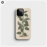 Dregea abyssinica
 - ルイージ バルガーニ Phone Case.