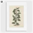 1-88_Luigi-Balugani_picture