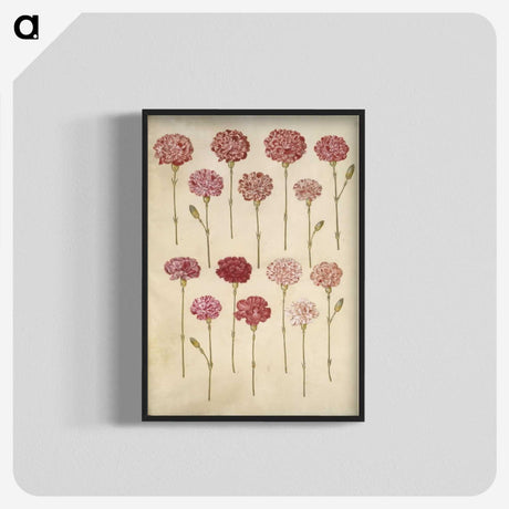 1-88_Maria-Sibylla-Merian_blk-crop