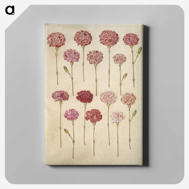 1-88_Maria-Sibylla-Merian_canvas