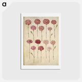アートポストカード-Dianthus caryophyllus
 - マリア ジビーラ メーリアン Postcard.