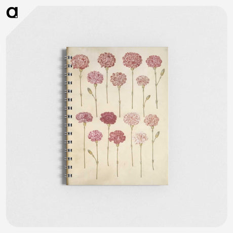 1-88_Maria-Sibylla-Merian_memo