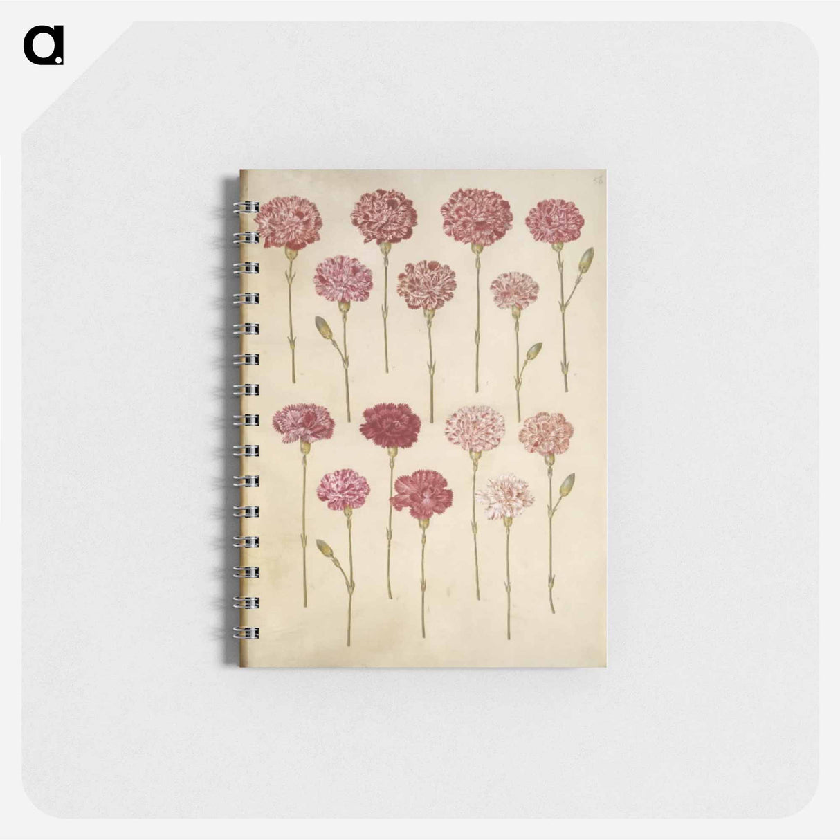 アートメモ帳-Dianthus caryophyllus
 - マリア ジビーラ メーリアン Memo.