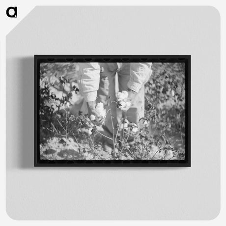 1-88_Marion-Post-Wolcott_blk-crop