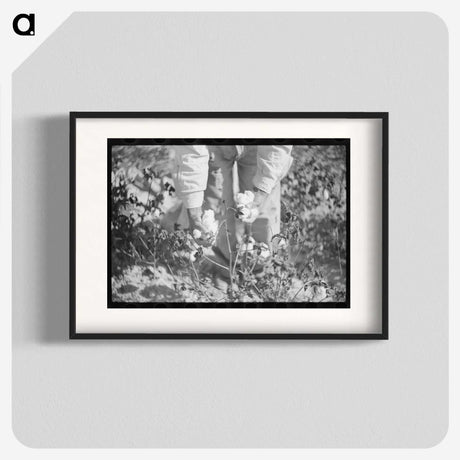 1-88_Marion-Post-Wolcott_blk