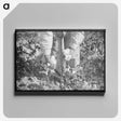 1-88_Marion-Post-Wolcott_canvas