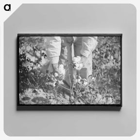 1-88_Marion-Post-Wolcott_canvas