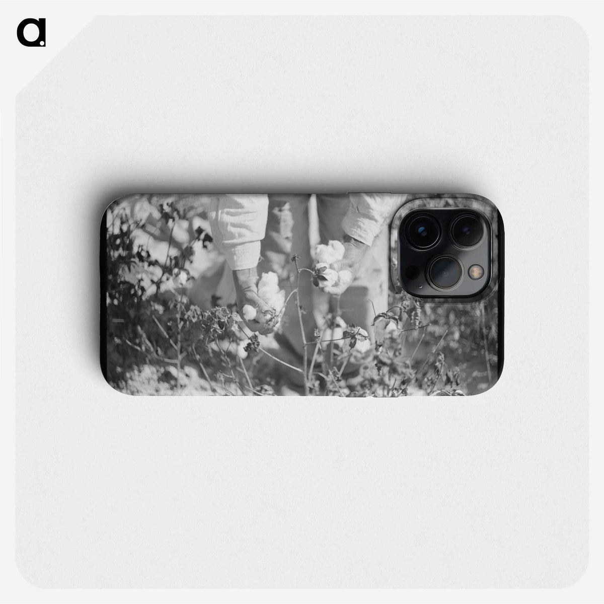 1-88_Marion-Post-Wolcott_phone