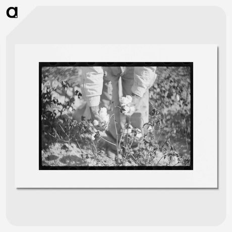 1-88_Marion-Post-Wolcott_picture