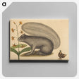 1-88_Mark-Catesby_canvas