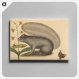 アートパネル-The Grey Fox Squirrel
 - マーク ケイツビー Canvas.