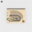 1-88_Mark-Catesby_memo
