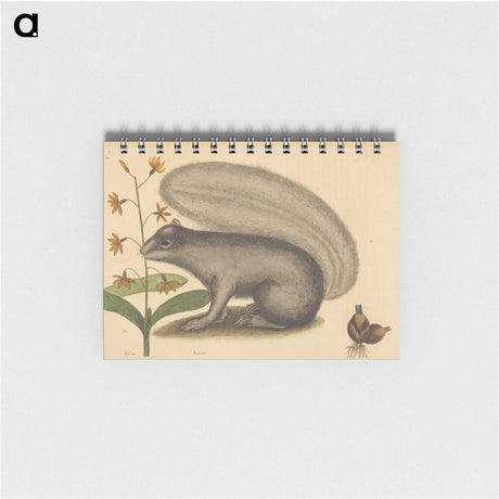 1-88_Mark-Catesby_memo
