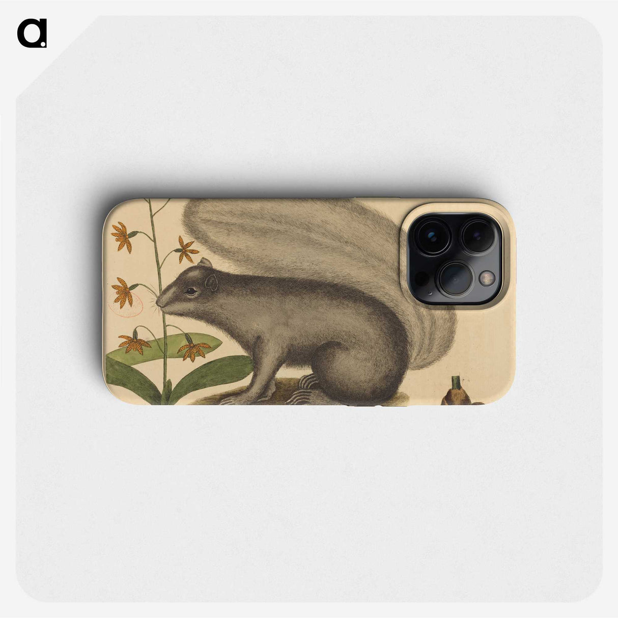 1-88_Mark-Catesby_phone