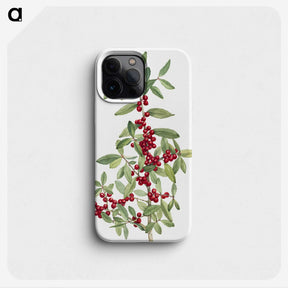 1-88_Mary-Vaux-Walcott_phone