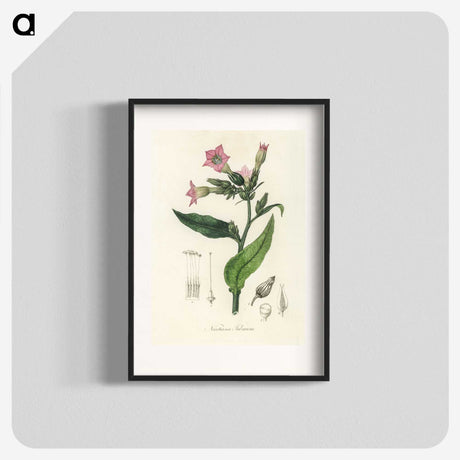 1-88_Medical-Botany_blk