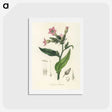 1-88_Medical-Botany_hagaki