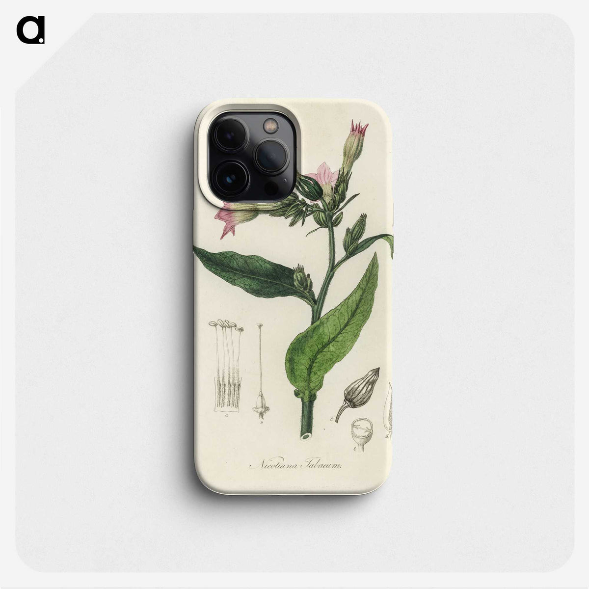 1-88_Medical-Botany_phone