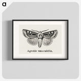 1-88_Moths-and-Butterflies-of-the-United-States_blk