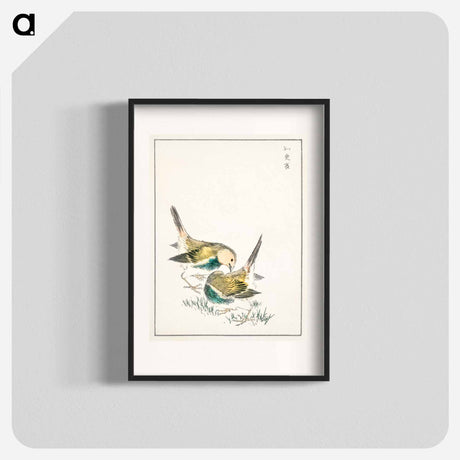 アートポスター-Japanese Great Tit
 - 鳥類図鑑 Poster.