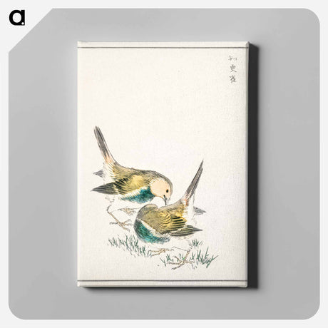 アートパネル-Japanese Great Tit
 - 鳥類図鑑 Canvas.