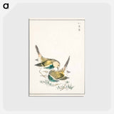 アートポストカード-Japanese Great Tit
 - 鳥類図鑑 Postcard.