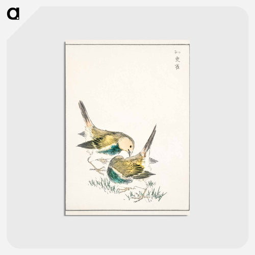 Japanese Great Tit
 - 鳥類図鑑 Postcard.