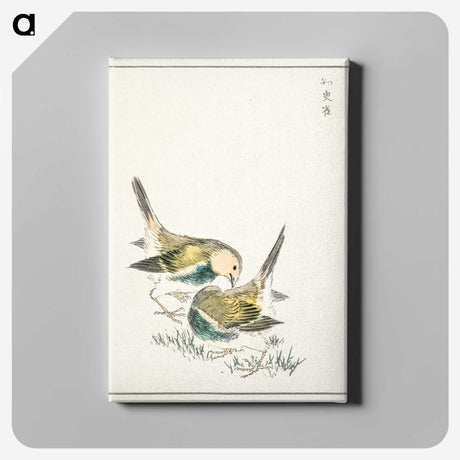 1-88_Pictorial-Monograph-of-Birds_canvas