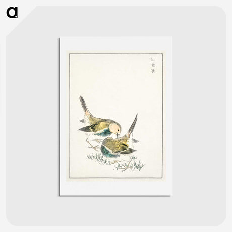 1-88_Pictorial-Monograph-of-Birds_hagaki