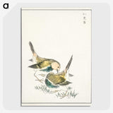 1-88_Pictorial-Monograph-of-Birds_picture-crop