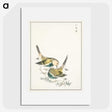 1-88_Pictorial-Monograph-of-Birds_picture