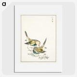 1-88_Pictorial-Monograph-of-Birds_picture