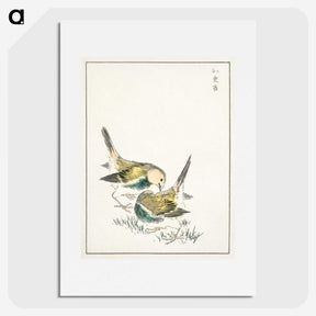 1-88_Pictorial-Monograph-of-Birds_picture